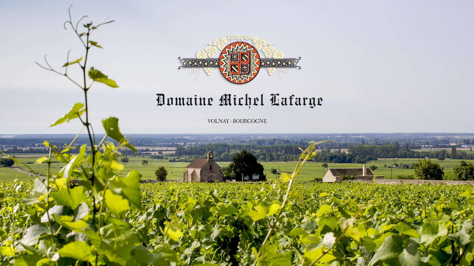 Domaine Michel Lafarge